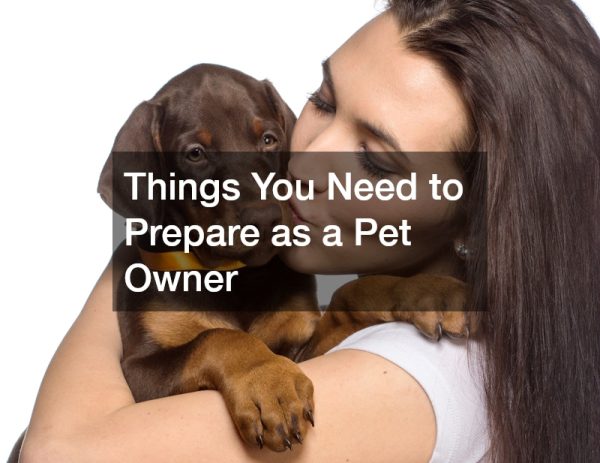 Things You Need to Prepare as a Pet Owner