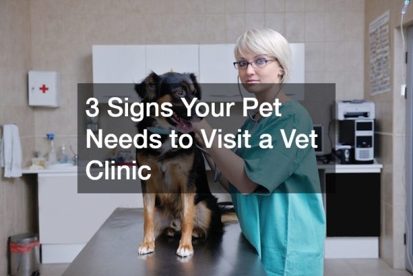 3 Signs Your Pet Needs to Visit a Vet Clinic