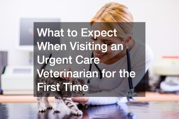What to Expect When Visiting an Urgent Care Veterinarian for the First Time