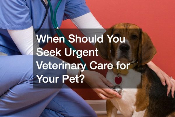 When Should You Seek Urgent Veterinary Care for Your Pet?